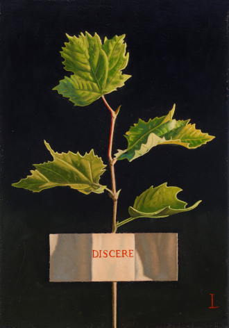 David Ligare (b. 1945), &quot;Discere (To Learn),&quot; 2023. Oil on canvas, 14 x 10 in.