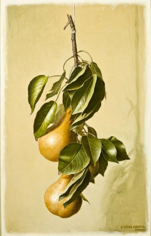A Long Branch with Leaves and Two Pears, 2009/12, Oil on board, 14 3/4 x 9 1/2 in.&nbsp;