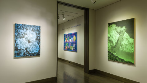 installation view of&nbsp;Andy Mister&nbsp;On a Classic Nitrogen Afternoon&nbsp;at Hirschl &amp;amp; Adler Modern, March 14 - April 20, 2019