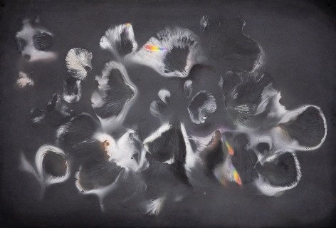 a drawing by Lily Cox-Richard on black paper made with mushroom spores and shimmery, translucent pigment