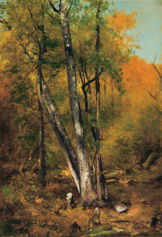 Jervis McEntee (1828-1891), A Wood Path