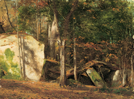 Jervis McEntee (1828-1891), Study, Rocks