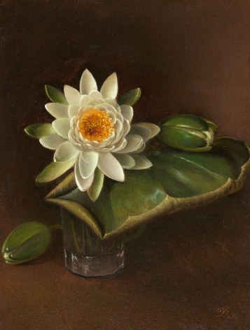 David Johnson (1827-1908), Still Life with Water Lily, 1872