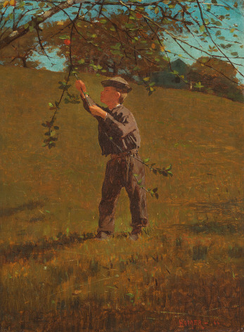 Winslow Homer (1836-1910), Green Apples, 1866