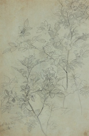William Trost Richards (1833-1905), Flowering Branches, circa 1860