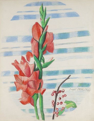Joseph Stella (1877-1946), Red Gladioli and Berries