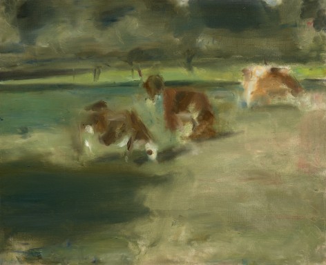 cows in landscape