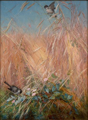 Fidelia Bridges (1834-1929), Chickadees, Wheat and Morning Glory, 1879
