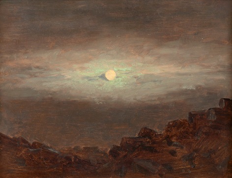 nocturnal landscape