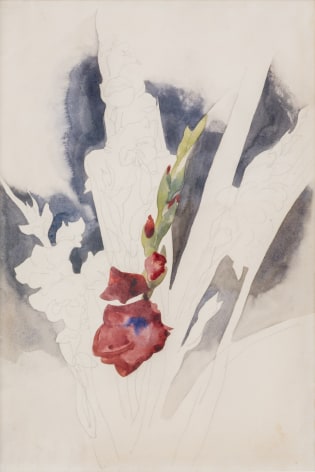 Still Lifes