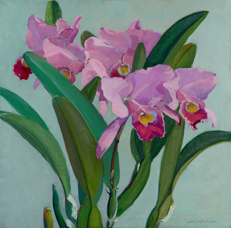 Jane Peterson (1876-1965), Cattleya Orchids