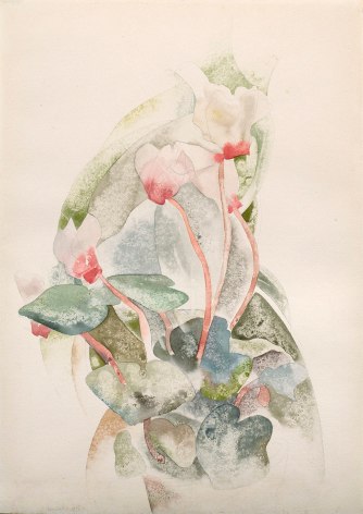 Charles Henry Demuth