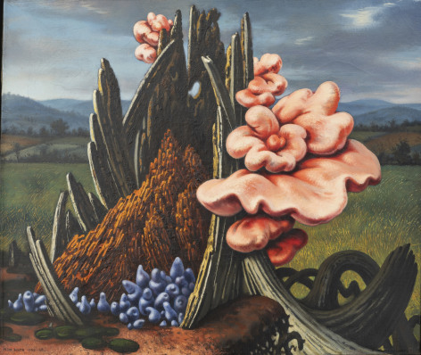 landscape