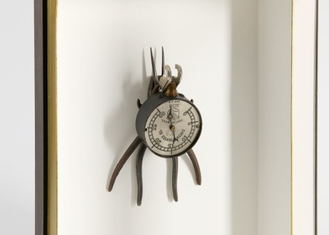 despont insect sculpture