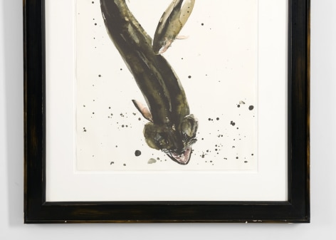despont fish