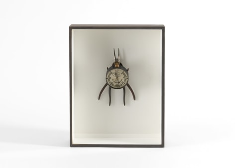 despont insect sculpture