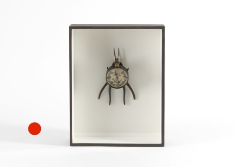 sold insect