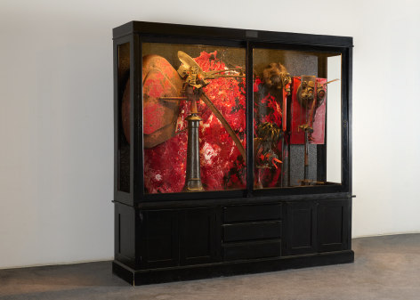 cabinet of curiosities despont
