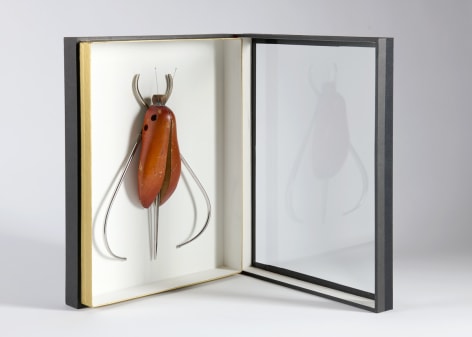 despont insect