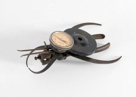 despont insect sculpture