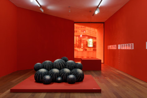 Maurizio Galante and Tal Lancman