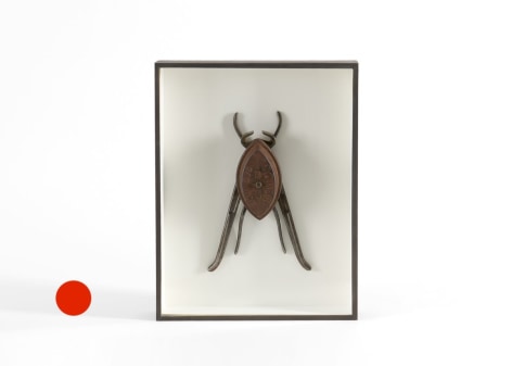 sold insect