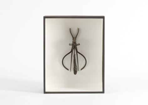 despont sculpture insect
