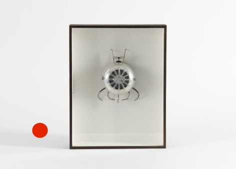 sold insect