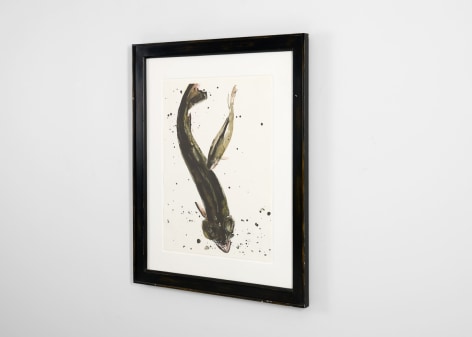 despont fish