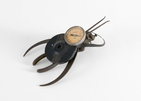 despont insect sculpture