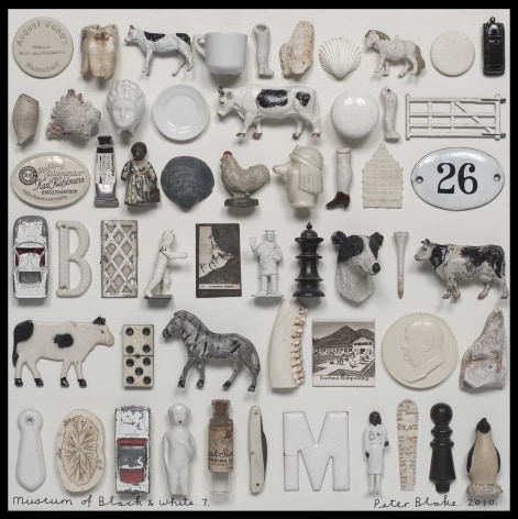 Museum of Black &amp;amp; White #7 (Homage to Mark Dion), 2010, Assemblage on board