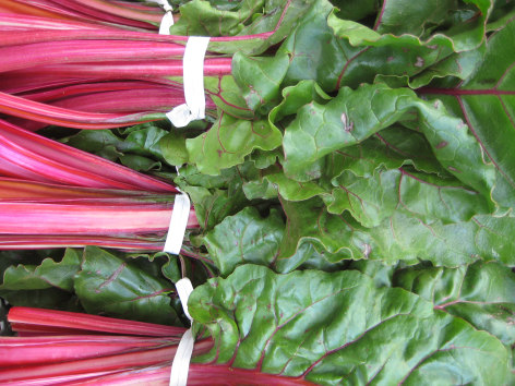 Red Chard
