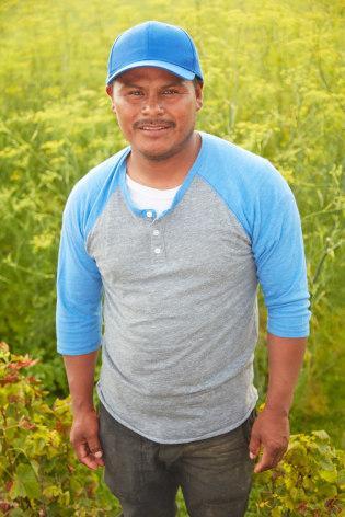 Valentin, Field production supervisor 18 years with Satur Farms