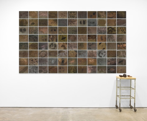 Michelle Stuart Trajectory of Evolutionary Correspondences, 2009-10 Suite of eighty-eight archival inkjet photographs; table with horned toad, seeds, wax top, and containers Photographs, overall: 67.5 x 115.5 inches (171.5 x 293.4 cm) Photographs, framed, each: 8.63 x 11.13 x .56 inches (21.9 x 28.3 x 1.4 cm) Table: 39 x 14 x 18 inches (99.1 x 35.6 x 45.7 cm) (GL12685)