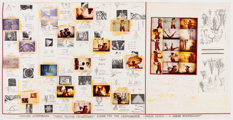 Carolee Schneemann Venus Vector Vocabulary: Score for the Performance 'Fresh Blood - A Dream Morphology', c. 1981-83 various prints, mixed media collage 35 1/4 x 69 1/4 inches 89.5 x 175.9 cm