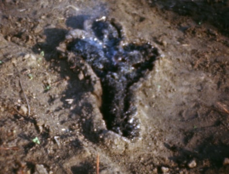 Ana Mendieta  Untitled: Silueta Series (Gunpowder Works), 1980  Super-8mm film transferred to high-definition digital media, color, silent  Running time: 4:14 minutes  Edition of 6 with 3 APs