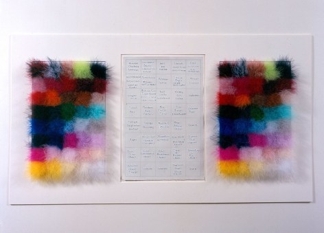 Jane Hammond Extravagant Reflex, 2003 - 2004 Feather boas, rag paper and ink 24.25 x 44 inches (61.6 x 111.8 cm) 25.5 x 45 inches (64.8 x 114.3 cm) (framed) GL6494