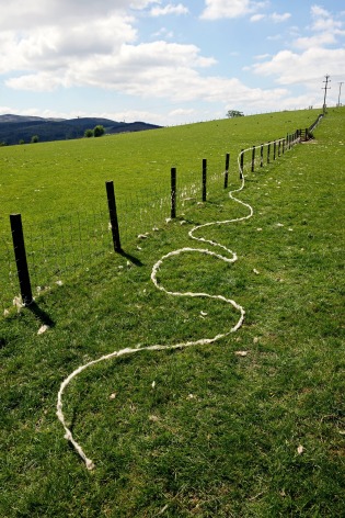 Andy Goldsworthy Barbed wire wool, Dumfriesshire, Scotland, 29 May 2018, 2018 Unique archival inkjet print 35.4 x 23.6 inches (90 x 60 cm) 35.9 x 24 x 1.5 inches (91.2 x 61 x 3.8 cm) (framed) GL14179
