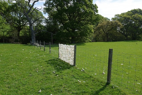 Andy Goldsworthy Sheep fence Dumfriesshire, Scotland 25 May 2018, 2018 Unique archival inkjet print 20.9 x 31.5 inches (53 x 80 cm) 21.4 x 32.8 x 1.5 inches (54.4 x 83.3 x 3.8 cm) (framed) GL14180