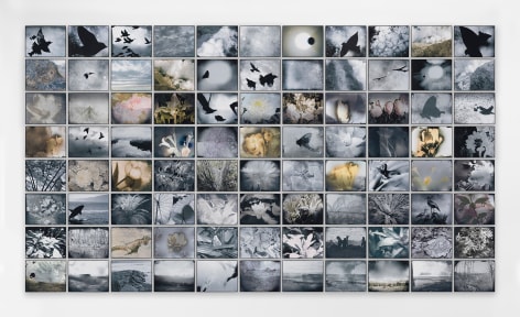 Michelle Stuart Flight of Time, 2016 Suite of eighty-eight archival inkjet photographs Framed, each: 8.6 x 11.1 x .6 inches (21.9 x 28.3 x 1.4 cm) Overall: 71.5 x 126 inches (181.6 x 320 cm) GL12684