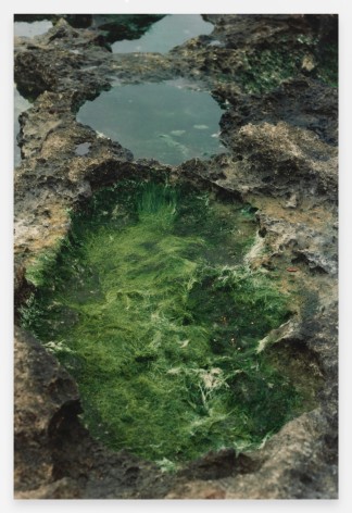 Ana Mendieta  Untitled: Silueta Series, Iowa, 1976-78 / 1991  From Silueta Works in Iowa, 1976-1978  Color photograph  20 x 16 inches (50.8 x 40.6 cm)  Edition of 20 with 4 APs