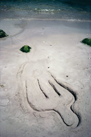 Ana Mendieta  Untitled, 1981 / 2019  Color photograph  20 x 16 inches (50.8 x 48.3 cm)  Framed: 29.1 x 21.9 x 1.25 inches (74 x 55.6 x 3.2 cm)  Edition of 10 with 2 APs