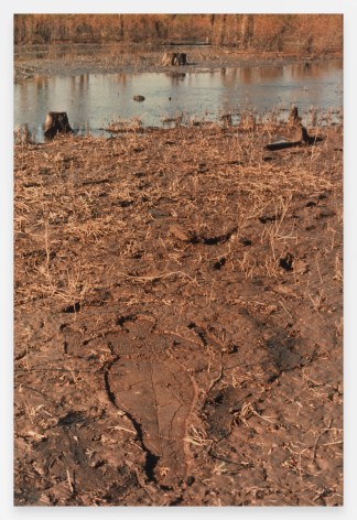 Ana Mendieta, Untitled: Silueta Series, Iowa / From Silueta Works in Iowa, 1976-1978, 1976-78 / 1991