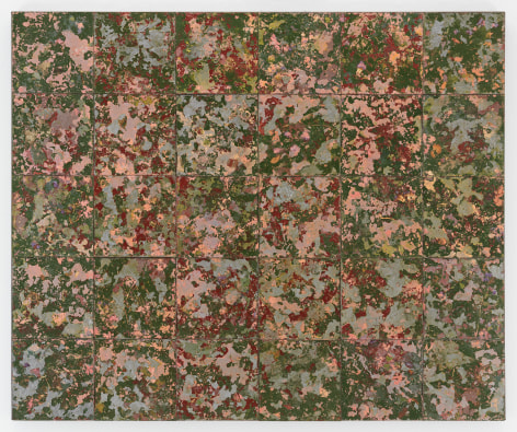 Michelle Stuart Rarotonga, 1986-87 Signed on reverse of canvas support Encaustic, pigments, plants 55 x 66 in (139.7 x 167.6 cm) (GL15749)  Michelle Stuart Rarotonga, 1986-87 Signed on reverse of canvas support Encaustic, pigments, plants 55 x 66 in (139.7 x 167.6 cm) (GL15749)