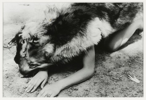 Ana Mendieta Dog, 1974 Black and white photograph 8 x 10 inches (20.3 x 25.4 cm) Framed: 15.25 x 17.6 x 1.25 inches (38.7 x 44.8 x 3.2 cm) GL8380