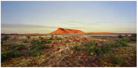 Rosemary Laing brumby mound #6, 2003 signed, titled, dated verso C type photograph Image size: 43.3 x 88.6 inches (110 x 225 cm) Paper size: 48.1 x 94.1 inches (124 x 239 cm) Edition 5 of 12 with 2 AP + 4 OP (#5/12) (GP1169)