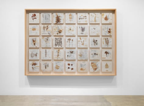 Michelle Stuart Extinct, 1992 Plants, seeds, and hand-printing on rice paper, mounted to pine supports Framed: 69 1/2 x 95 x 4 3/4 in (176.5 x 241.3 x 12.1 cm) (GL15299)