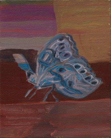 Ficre Ghebreyesus Butterfly, c. 2007-11 Acrylic on canvas 5 x 4 in (12.7 x 10.2 cm) Framed: 6 1/2 x 5 1/2 x 1 1/2 in (16.5 x 14 x 3.8 cm) (GL14227)