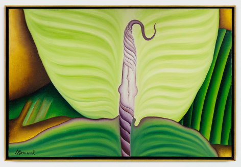 ANTONIO HENRIQUE AMARAL  O nascimento da folha (The Birth of the Leaf) 1997