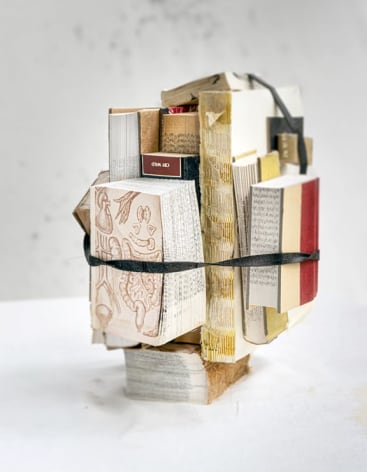 James Henkel, Wild, 2020, 30 x 24 inches, Edition of 3: color photograph of bundle of books cut up and bound together